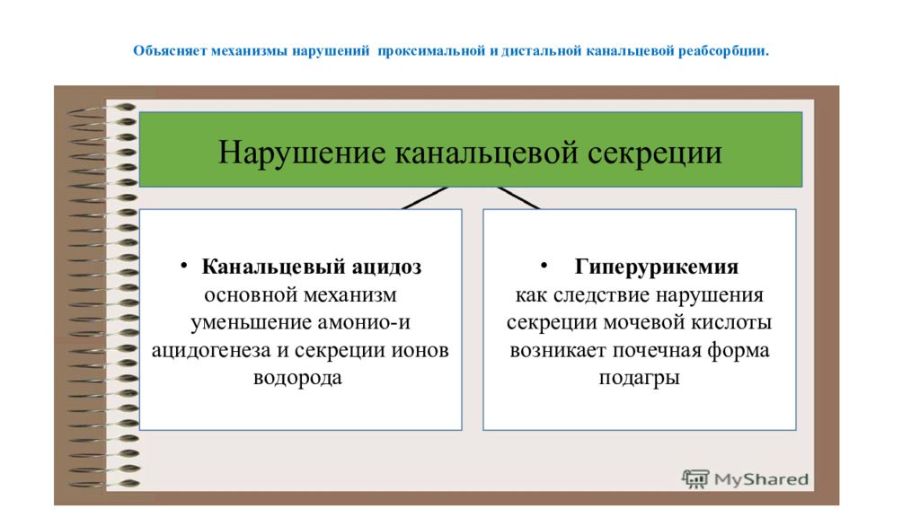 Нарушение реабсорбции почек. Причины и механизмы нарушений канальцевой реабсорбции. Механизмы нарушения канальцевой реабсорбции и секреции. Нарушение канальцевой секреции. Причины нарушения канальцевой реабсорбции.