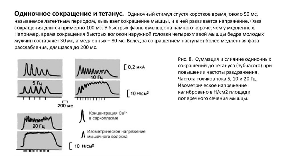 Повышенная частота. Одиночное сокращение зубчатый тетанус гладкий тетанус. Одиночное мышечное сокращение гладкий и зубчатый тетанус. Суммация сокращений и тетанус. Механизм формирования зубчатого тетануса.