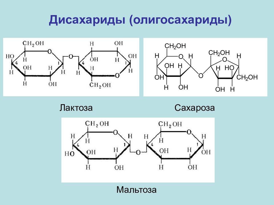 Строение сахарозы мальтозы и лактозы. Сахароза мальтоза лактоза формулы. Лактоза это олигосахарид. Дисахариды сахароза лактоза.