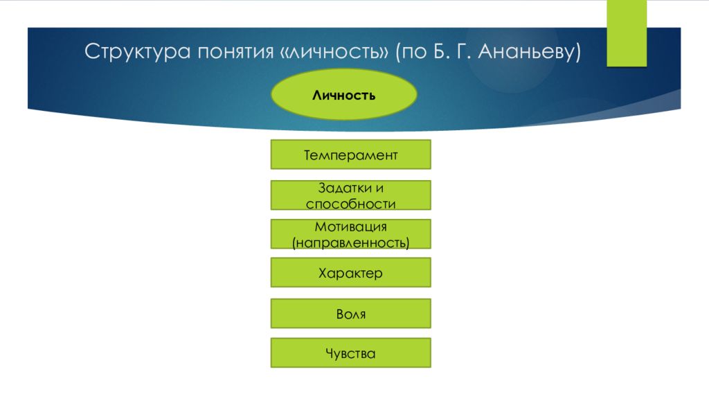 Структура темперамента и характера
