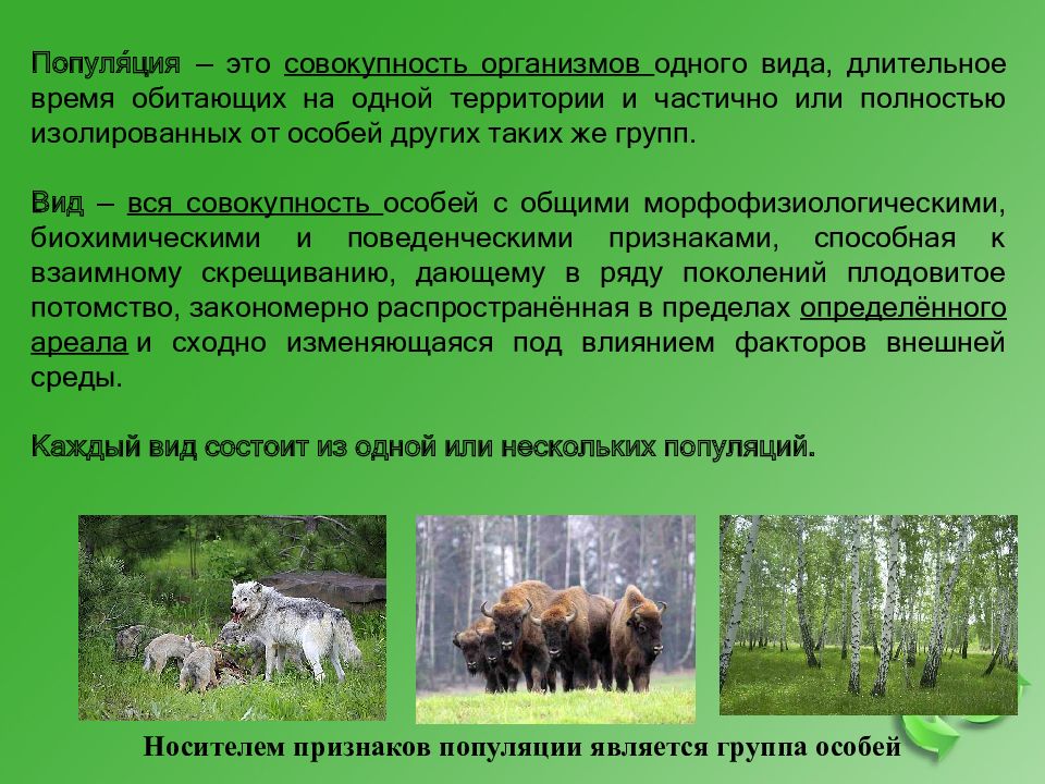 Территории один вид обитает на. Организмы одного вида на одной территории. Совокупность организмов обитающих на одной территории. Совокупность организмов одного вида. Совокупность популяций обитающих на одной территории это?.