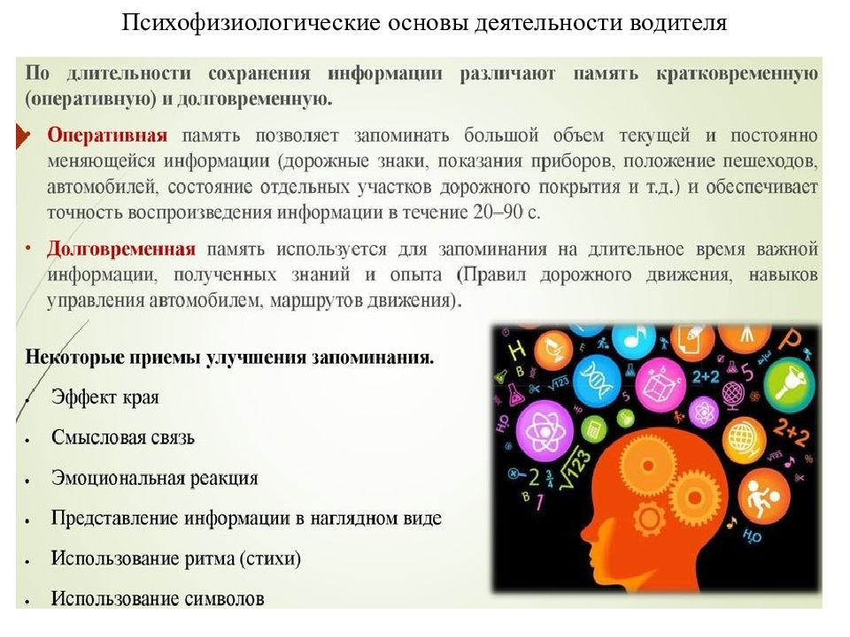 Психофизиологическая активность. Психофизиология деятельности водителя. Психофизиологические основы водительской деятельности. Психофизиологически КОСНОВЫ труда. Психологические особенности деятельности водителя.