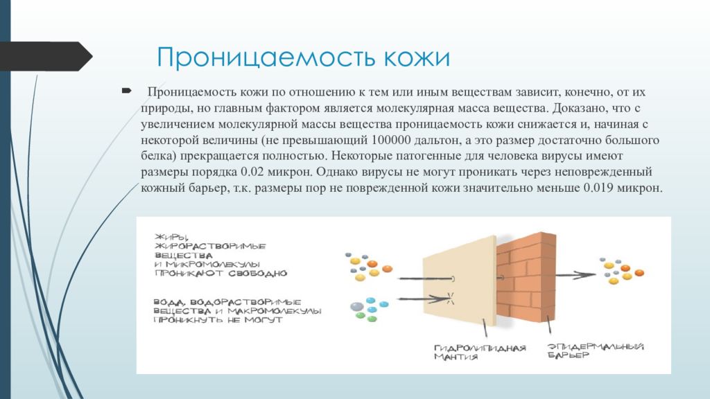 Конечно зависит. Проницаемость кожи. Проницаемость человеческой кожи. Проницаемость кожи повышается. Значение проницаемости кожи.