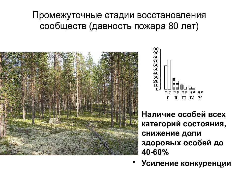 Промежуточные стадии. Наличие промежуточных стадий.