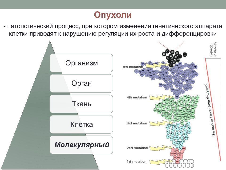 Повреждение генетического аппарата клетки приводит к. Повреждение генетического аппарата клетки. Последствия нарушений генетического аппарата клетки. Изменение генетического аппарата клетки.