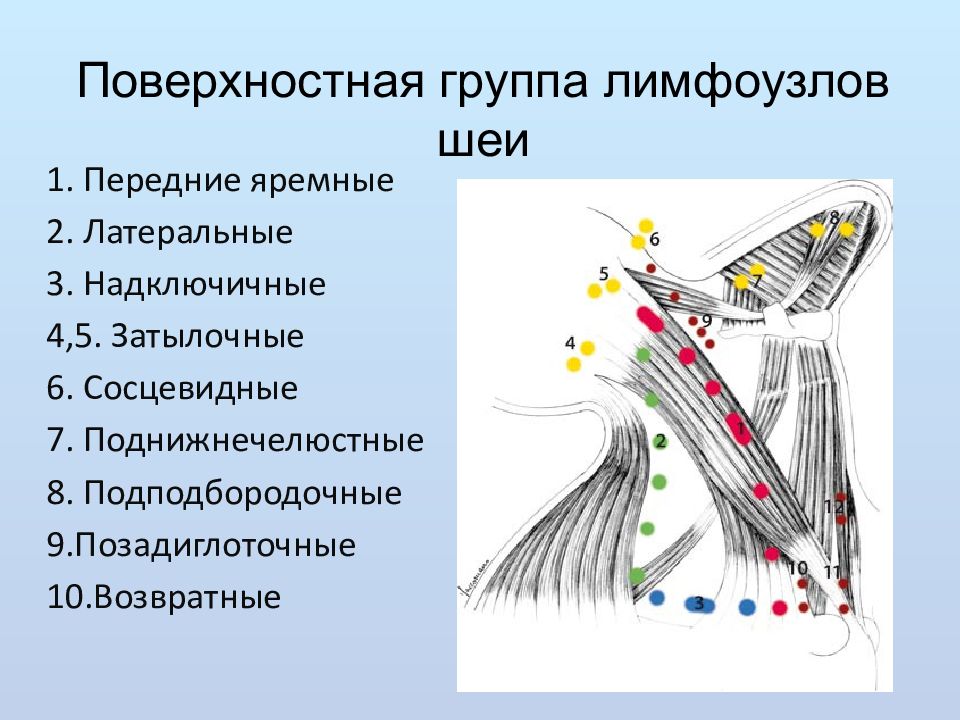 Лимфоузлы шеи кт