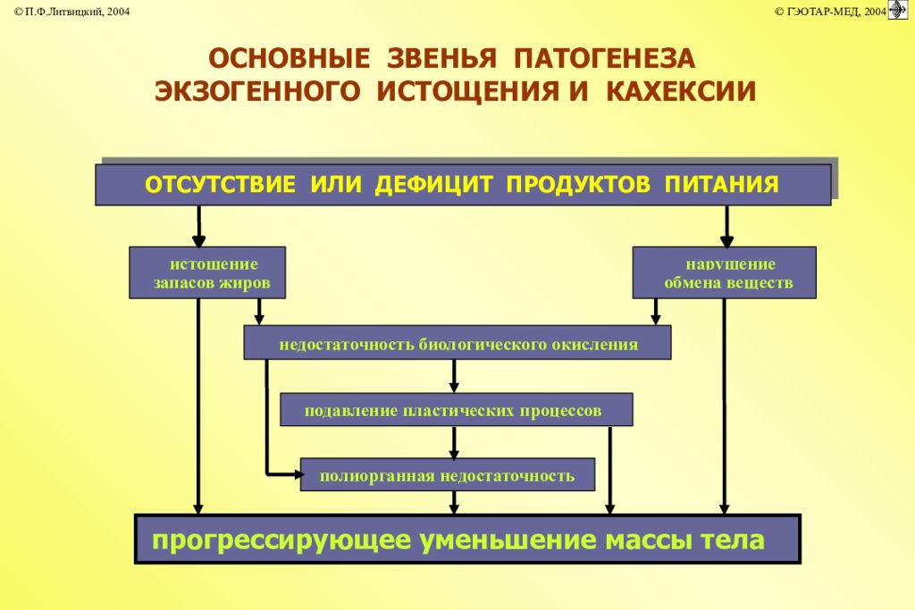 Основное звено. Механизмы развития истощения (кахексии. Истощение патогенез. Основное звено патогенеза. Истощение кахексия патогенез.