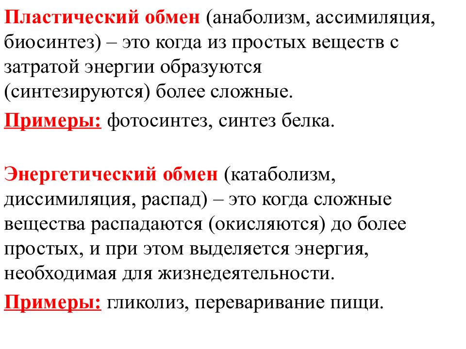 Пластический и энергетический обмен 8 класс презентация