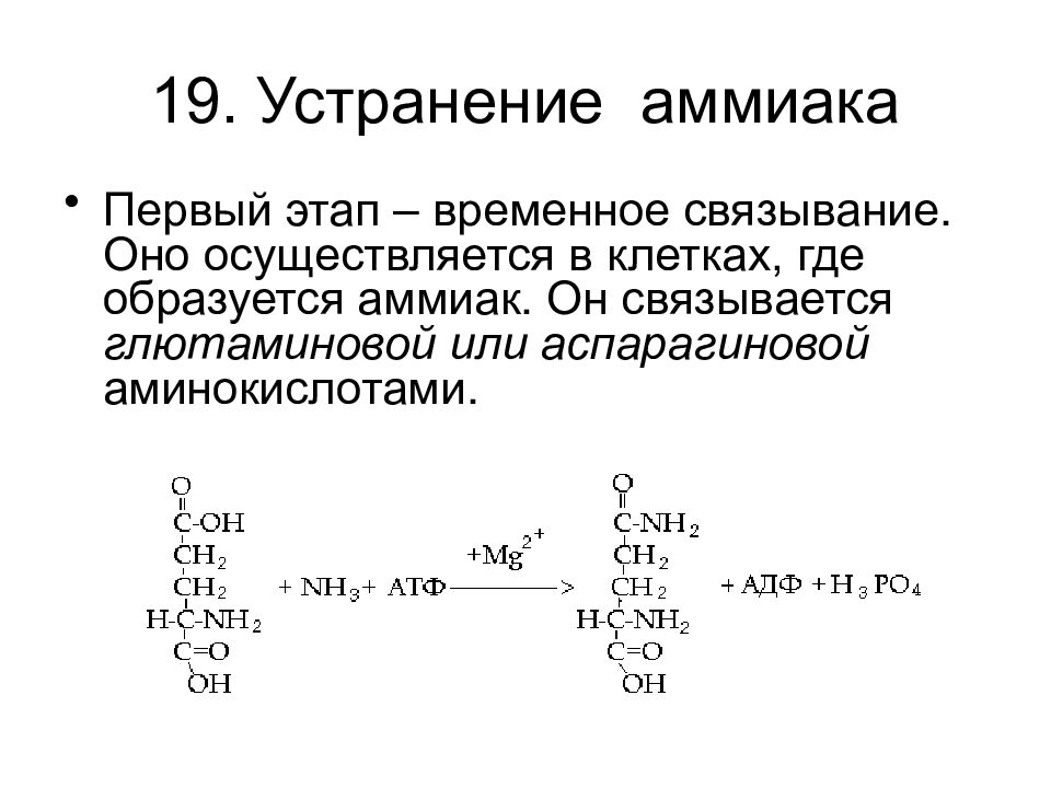 Вывод аммиака. Временное Связывание аммиака. Пути устранения аммиака из организма. Выведение аммиака из организма. Способы выведения аммиака из организма.