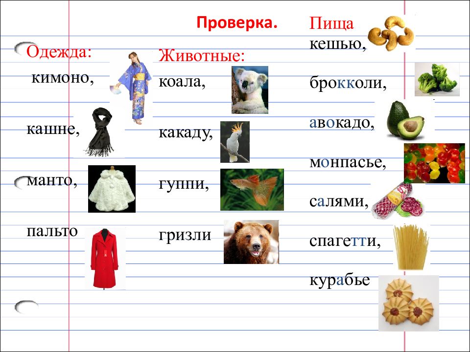 Кашне какой род существительного. Что такое кашне в русском языке. Манто род существительного. Несклоняемые сущ еда. Что такое кашне Толковый словарь.