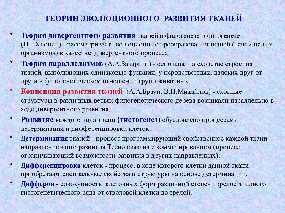 2 развитие тканей. Теории тканевой эволюции. Теории развития тканей. Теория дивергентного развития тканей. Теории происхождения и эволюции тканей.