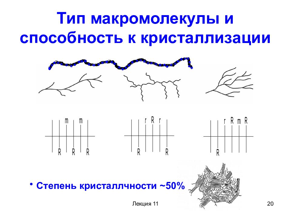 линейные макромолекулы полимера. макромолекулы виды. макромолекулы виды. структура макромолекул. макромолекулы виды.
