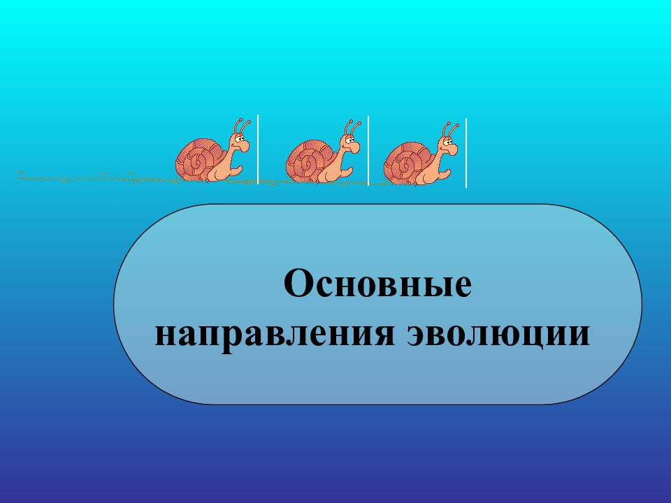 Главные направления эволюции. Урок по теме 9 класс основные направления эволюции.. Направления эволюции презентация. Урок главные направления эволюции.