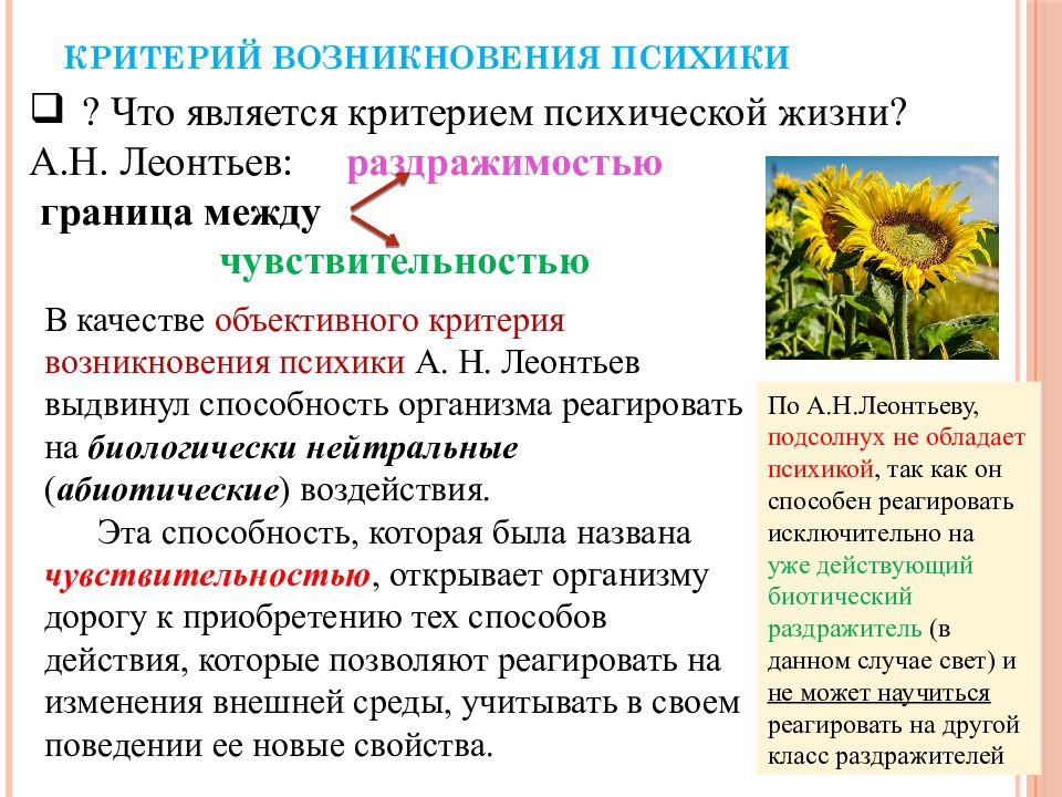 Что является критерием. Критерии возникновения психики. Критерии чувствительности по Леонтьеву. Критерии психики по Леонтьеву. Критерий возникновения психики по Леонтьеву.