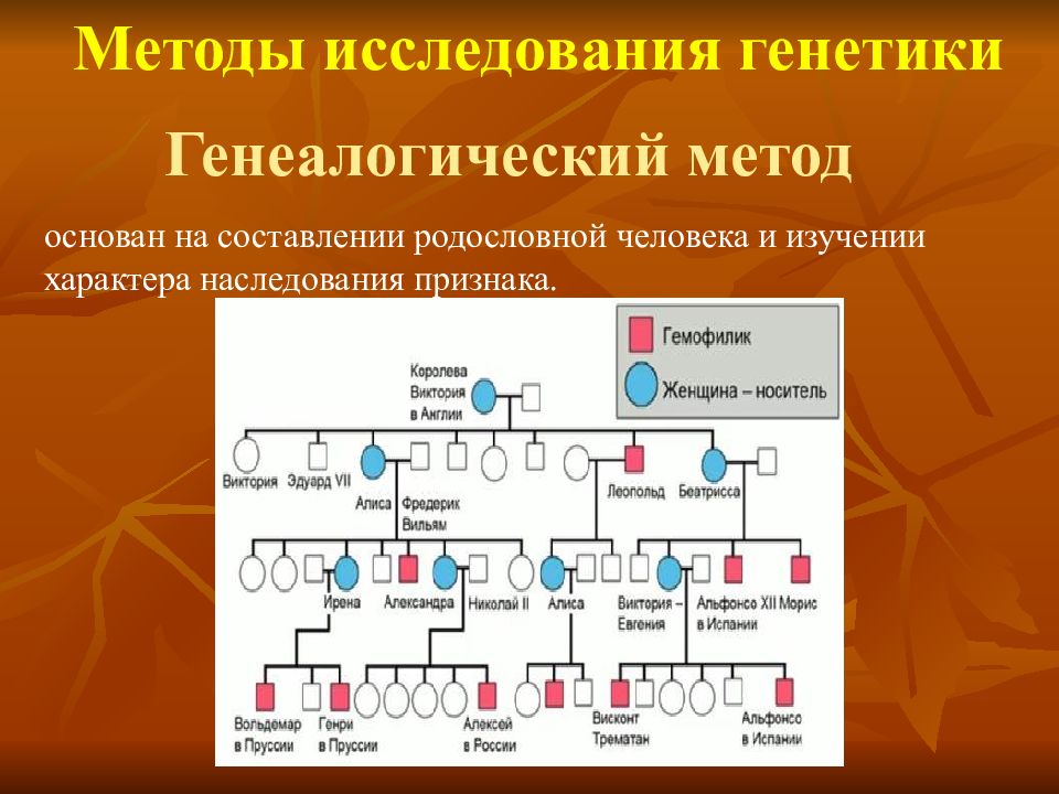 Генотип и здоровье человека презентация 9 класс пасечник