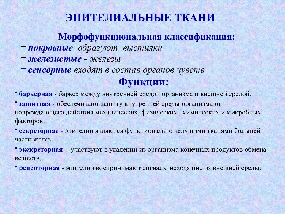 Функциональная классификация тканей. Функции и Общие свойства эпителиальных тканей. Основные свойства эпителиальной ткани. Характеристика эпителиальной ткани. Общая характеристика эпителиальных тканей.