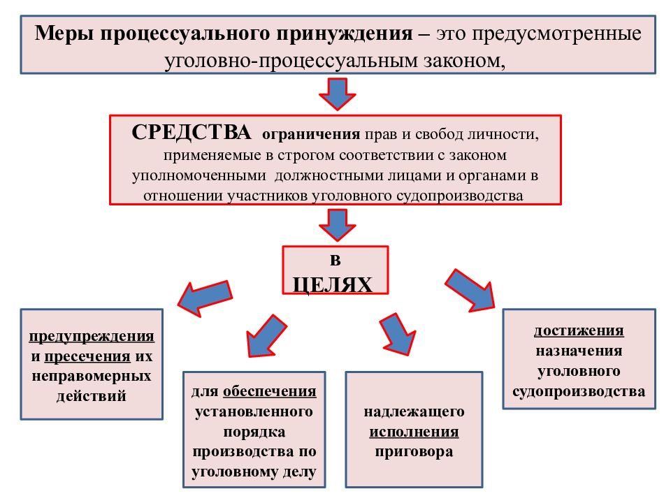 Меры процессуального принуждения презентация