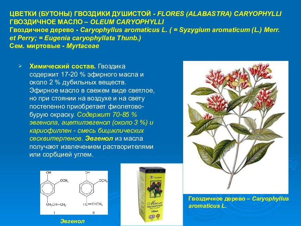 Лекарственное растительное сырье содержащие эфирные масла. Лекарственное сырье гвоздичное дерево. Лекарственное растительное сырье «цветки. Flores» - __. Алабастра лекарственное растительное. Гвоздика бутоны гвоздичного дерева.