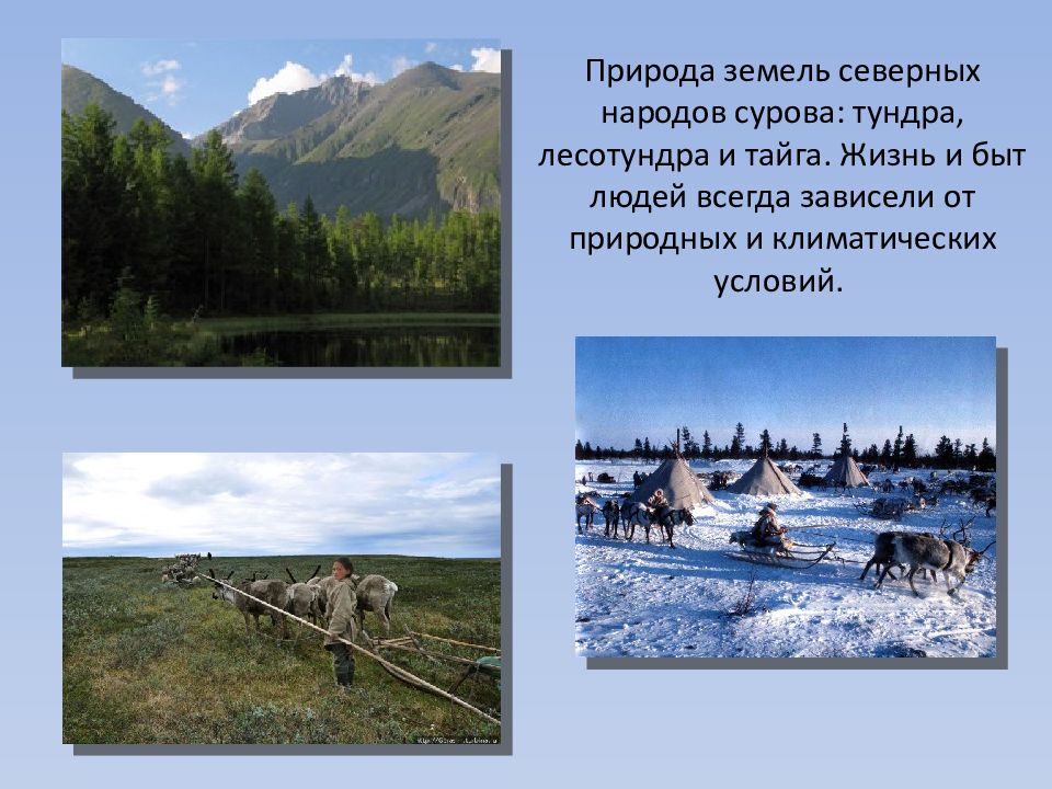 Быт людей в горах кратко. Жизнь и быт людей в тундре и лесотундре. Жизнь и быт людей лесотундры в России. Природа северных народов. Быт людей севера.