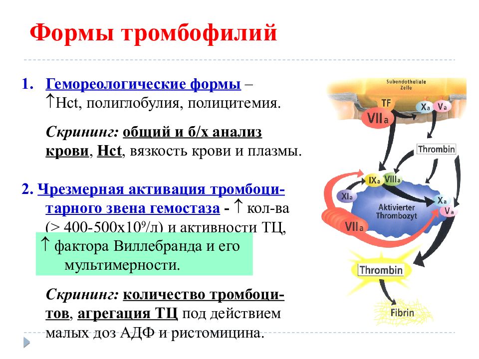 Патофизиология гемостаза презентация