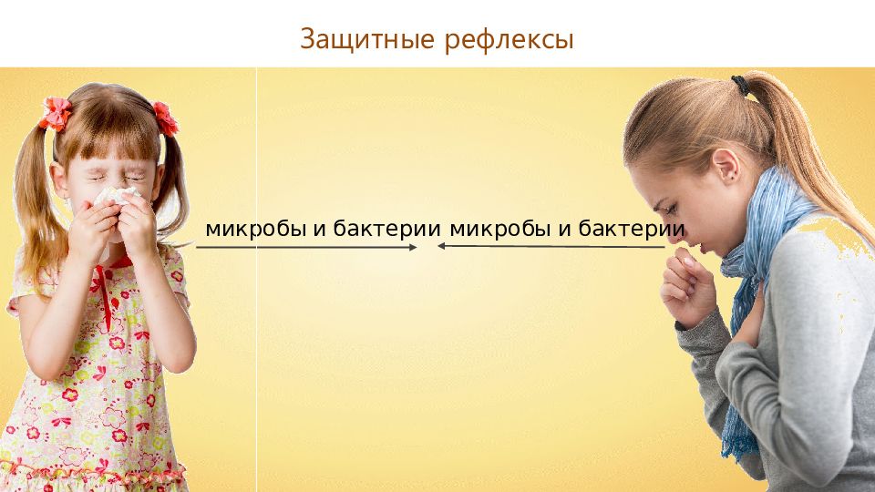 13 поведений