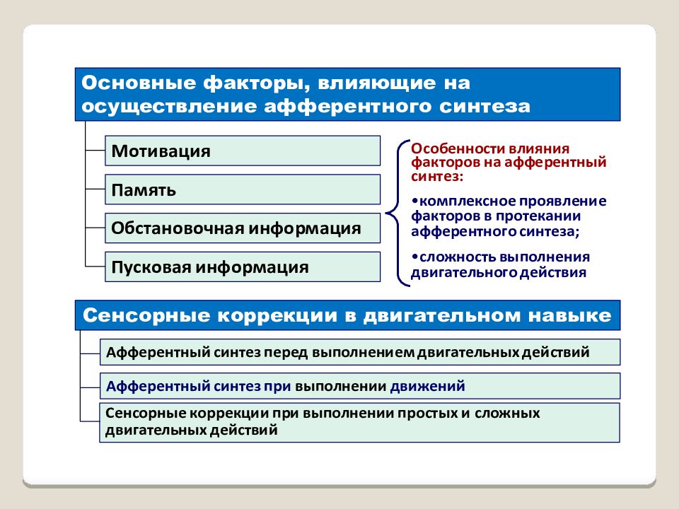 Физиология физического воспитания и спорта