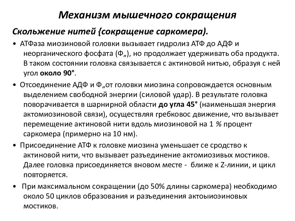 Механизм мышц. Механизм мышечного сокращения физиология. Механизм сокращения и расслабления мышц физиология. Механизм мышечного сокращения этапы. Физиологический механизм мышечного сокращения..