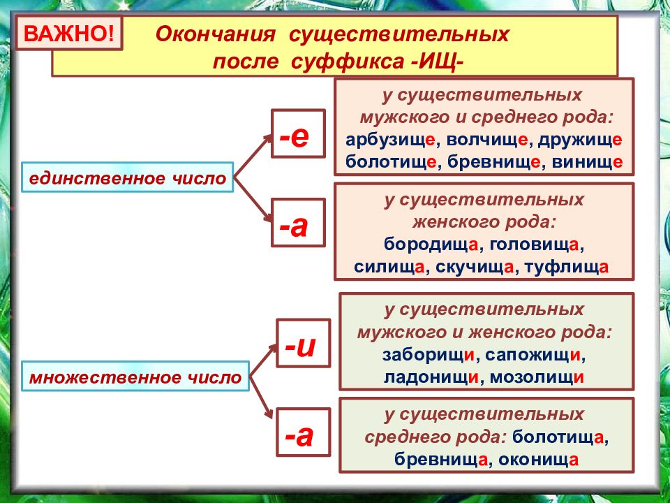 Суффиксы существительных презентация 6 класс