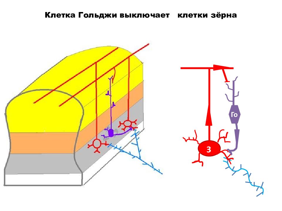 Выключи клетку