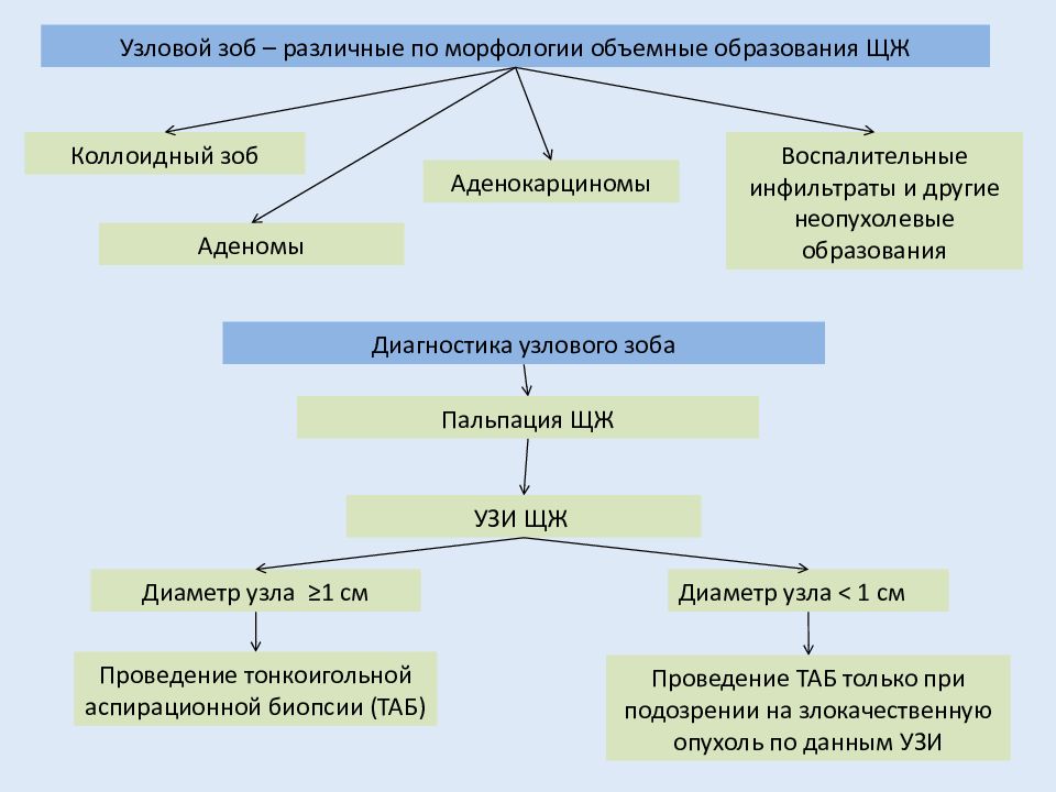 Схема исследования больного ребенка