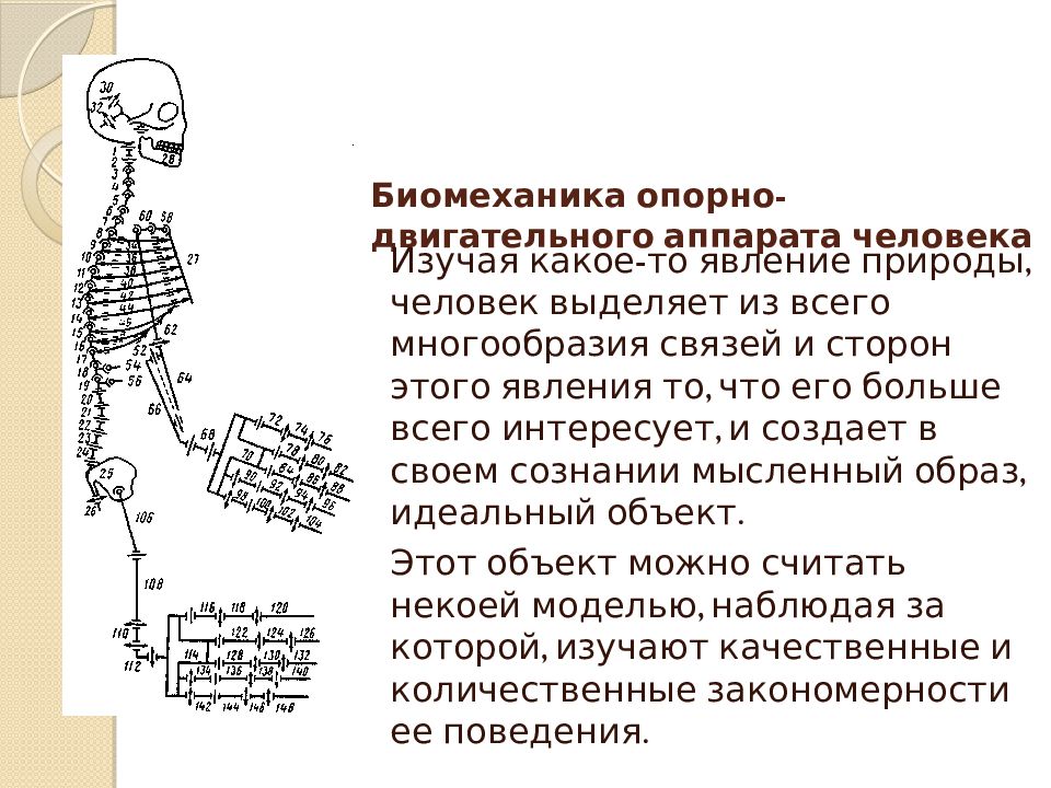 Биомеханика презентация казакша