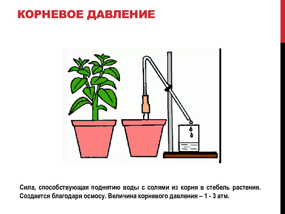 Объясните опыт на рисунке 1