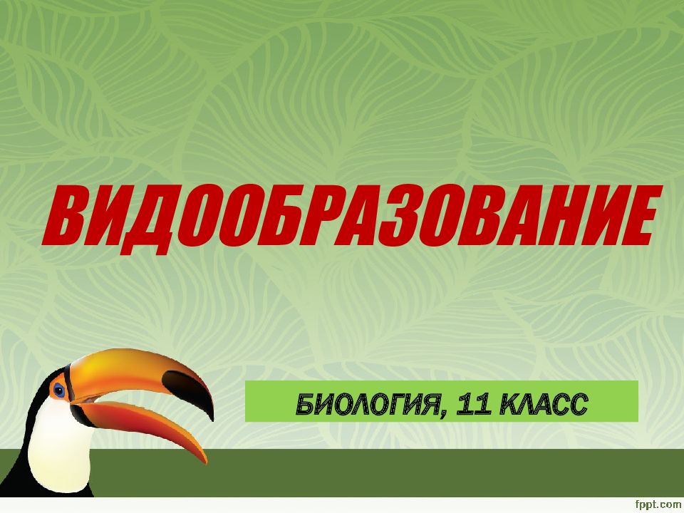 Презентация по биологии видообразование презентация