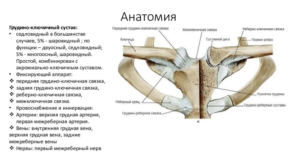 Переломы ключицы презентация