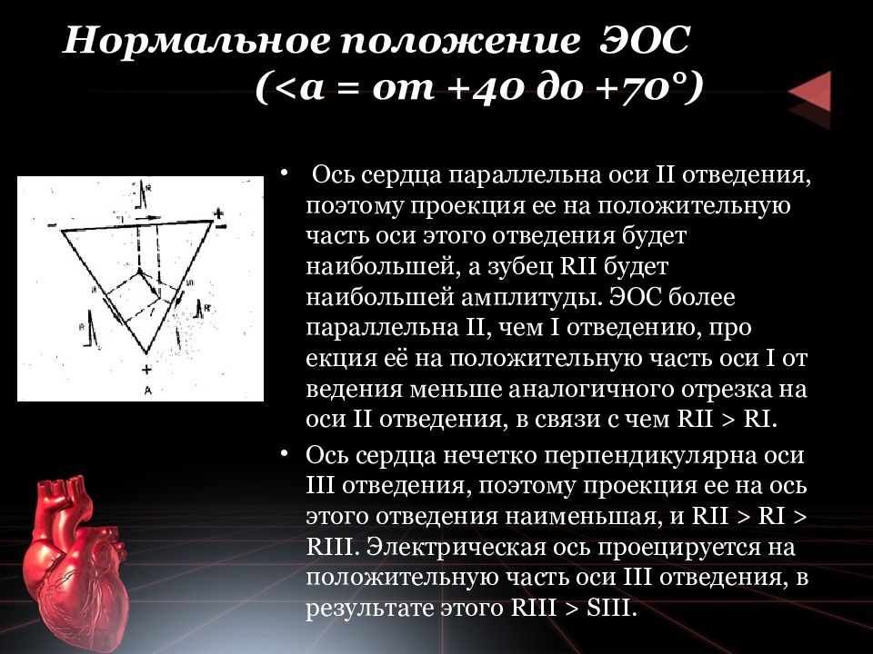 Нормальная ось. Нормальное положение электрической оси. Положение электрической оси сердца. Нормальное положение электрической оси сердца. Электрическая позиция сердца.