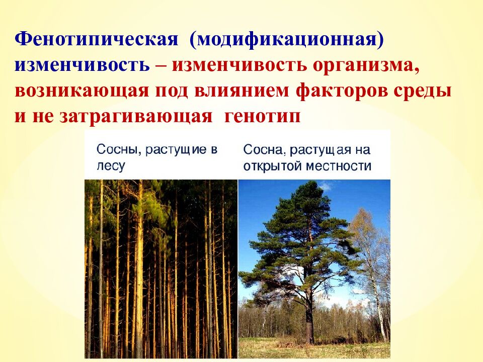 Экспресс-тест 1-й вариант 1. Случайное расхождение гомологичных хромосом при