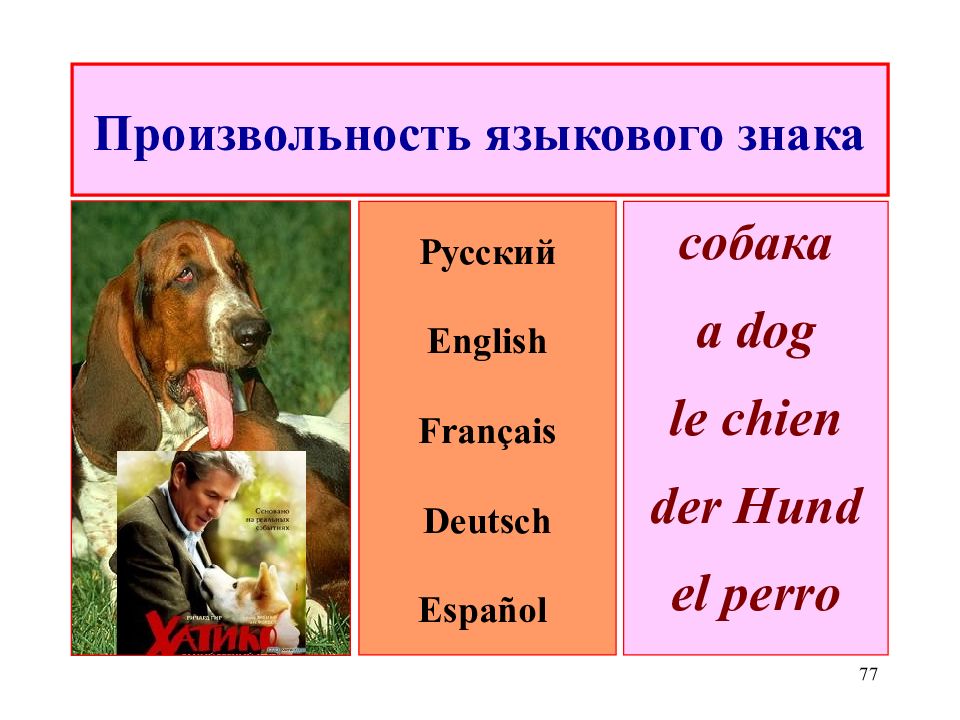 Собака по английскому. Символ собака на английском. Обозначение собачка в английском. Английский сектор собака. Скажи по английски собака
