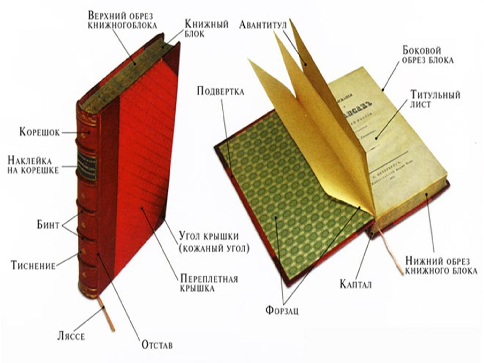 Чехол книга с рисунками