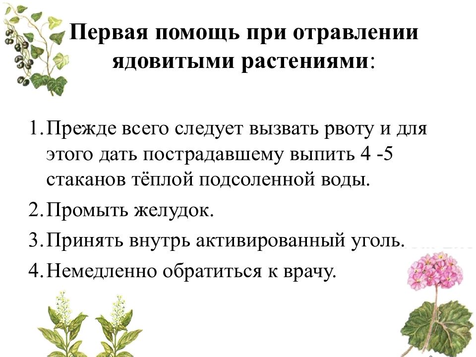 Первая медицинская помощь при отравлении ядами растительного происхождения презентация