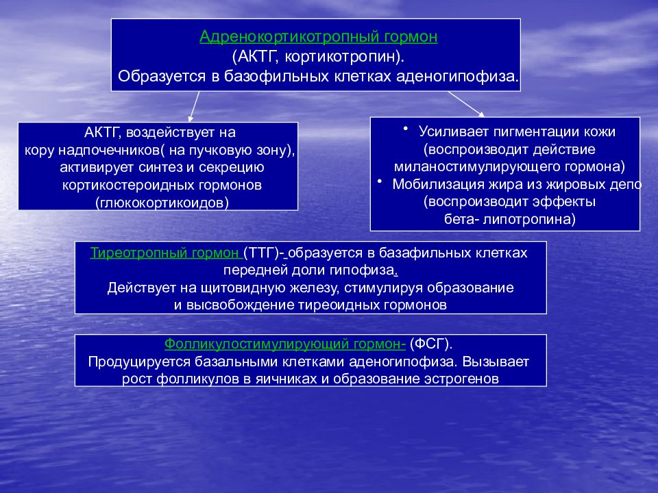 Патофизиология эндокринной системы презентация