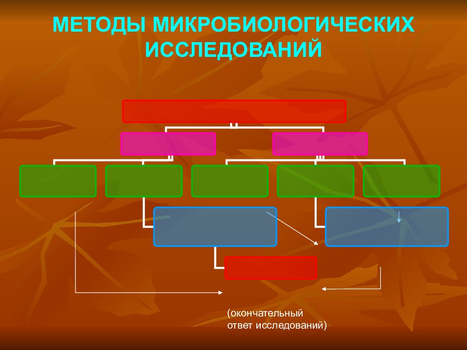 МЕТОДЫ МИКРОБИОЛОГИЧЕСКИХ ИССЛЕДОВАНИЙ