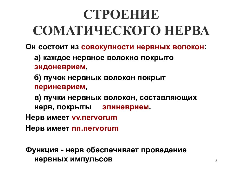 Функциональная анатомия периферической нервной системы презентация