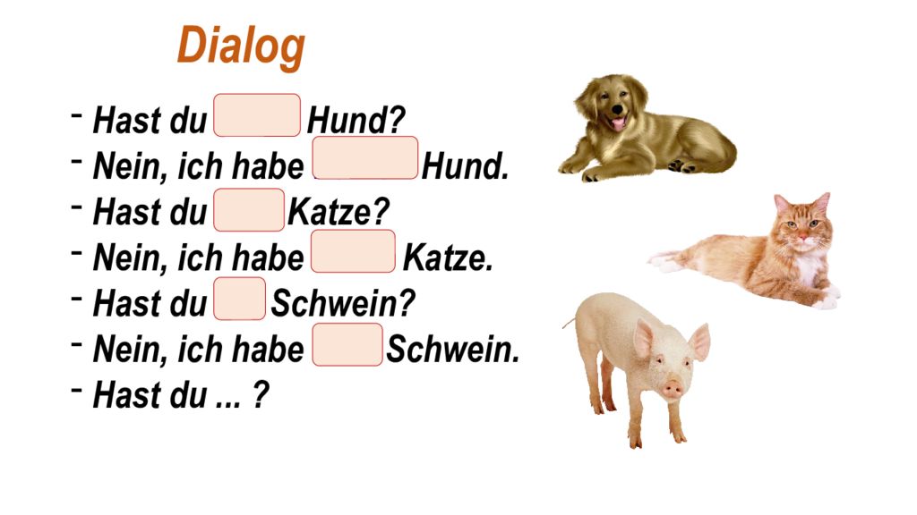 Ich einen. Katze род в немецком языке. Katze по немецки. Hund артикль. Hund на немецком.