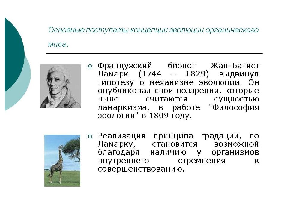 Концепция биологической эволюции. Гурвич теория биологического поля. Биологическая теория Лукомского.