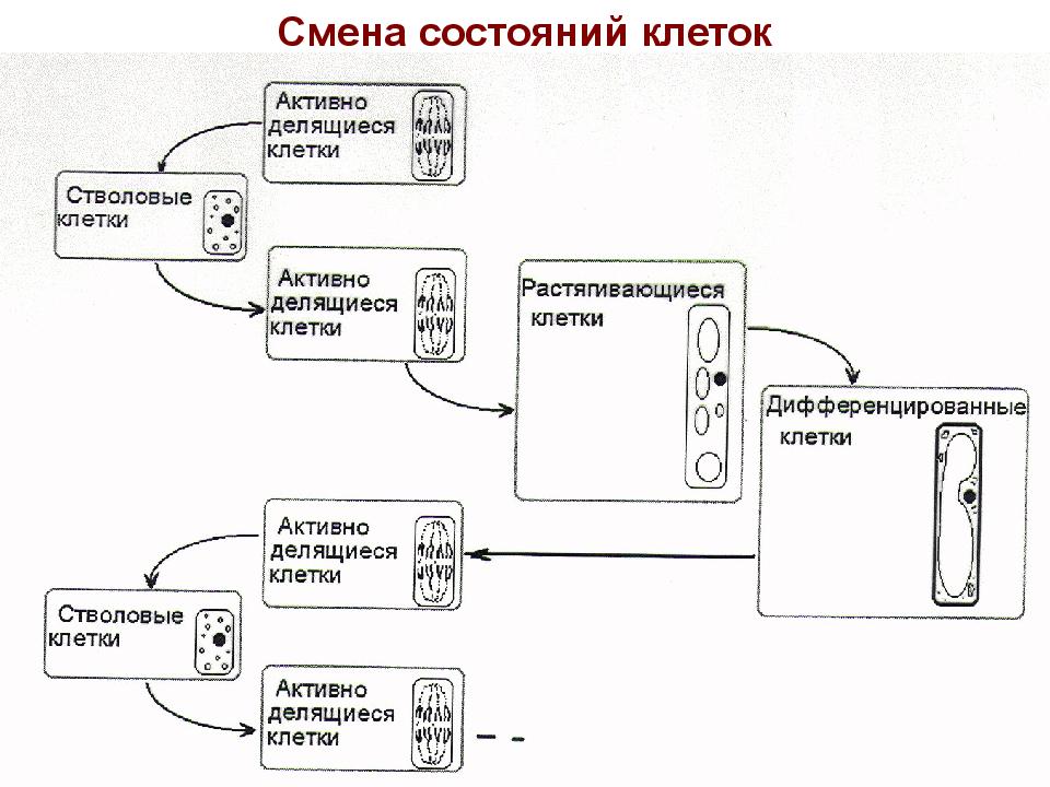 Смена состояния. Смена состояний. Смена состояний в политике.