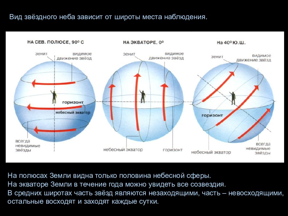 Изменение звездного неба в течение суток презентация