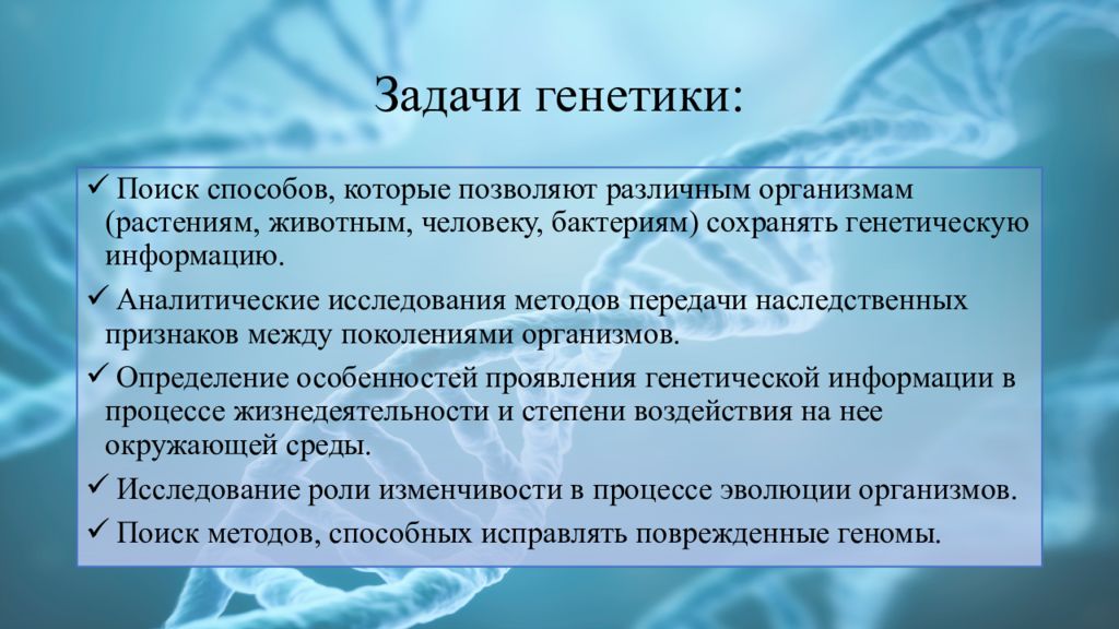 Генетики омска. Генетика задачи. Задачи генетики человека. Методы для решения задач генетики. Репрессивность генетика задачи.