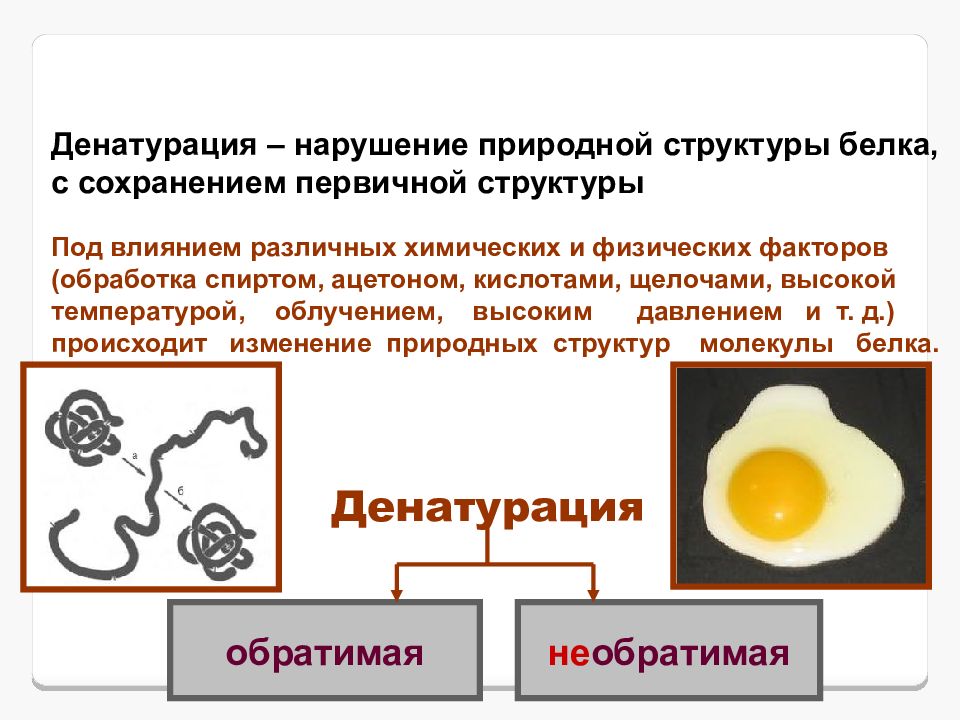 Влияние алкоголя на денатурацию белка презентация