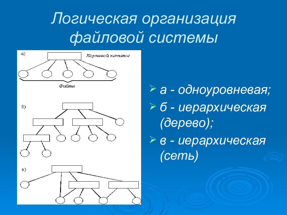 Логическая организация. Логическая организация файловой системы. Логический уровень файловой системы. Логическая организация файловой системы иерархическая (сеть). Логическая модель файловой системы.