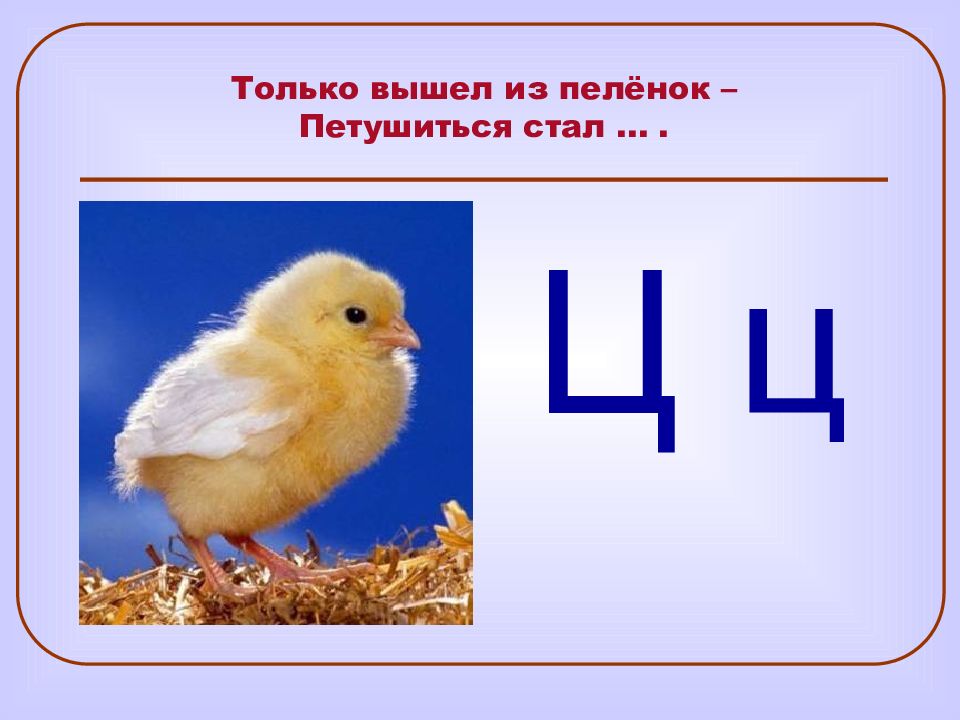 Правило написания ы и и после ц. Римская цифра 1. Загадка о животном на букву ц. Становиться ц. Разнообразие жизни.